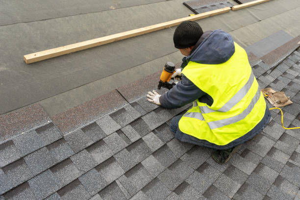 Best Roof Gutter Cleaning  in Hayfield, VA