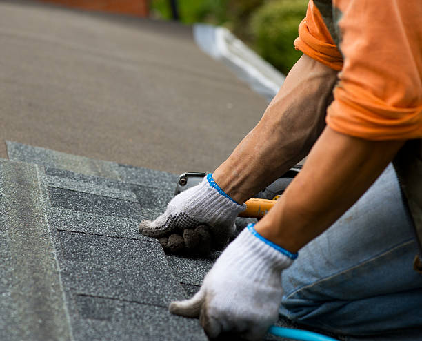 Best Storm Damage Roof Repair  in Hayfield, VA