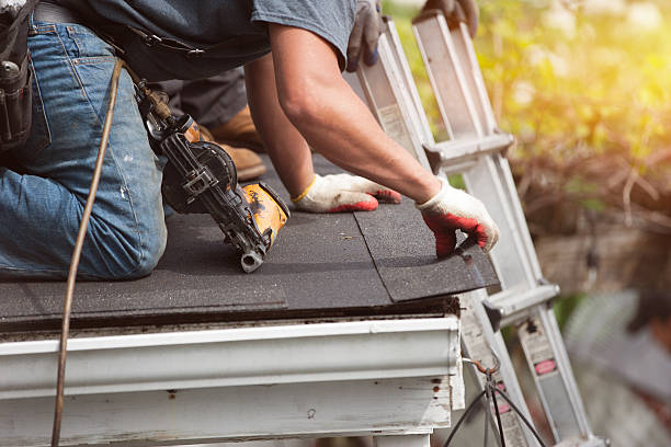 Best Local Roofing Companies  in Hayfield, VA